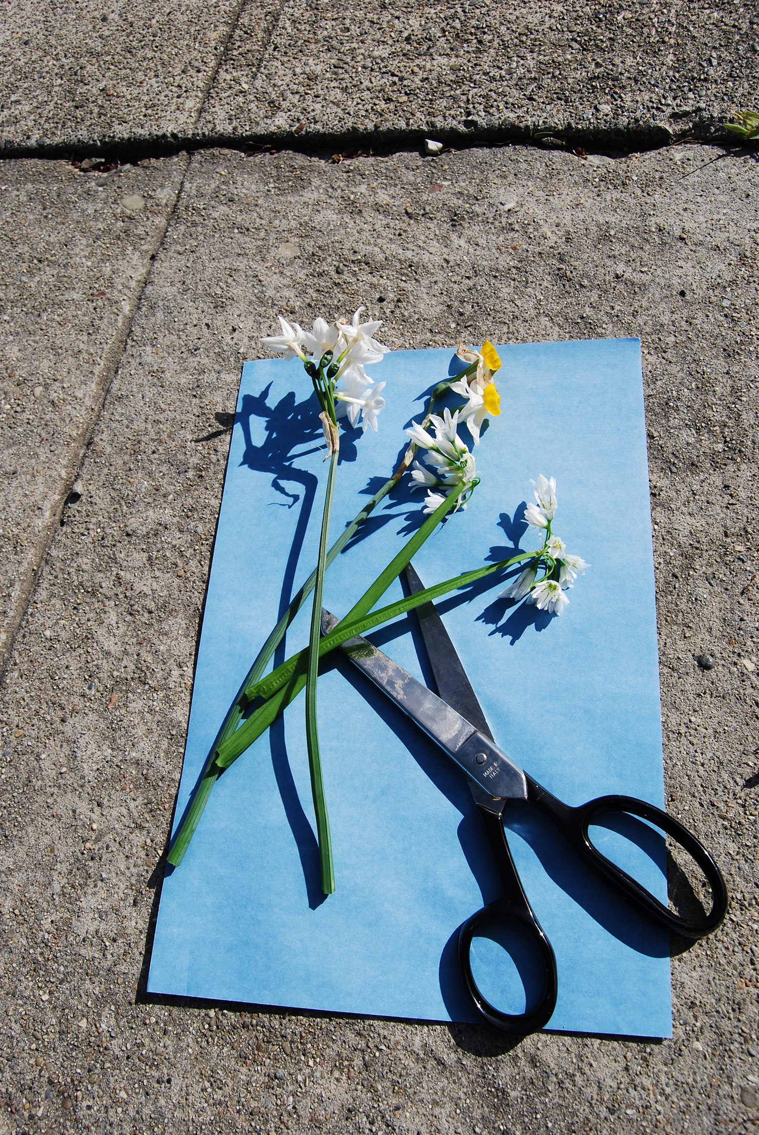 Found Objects.