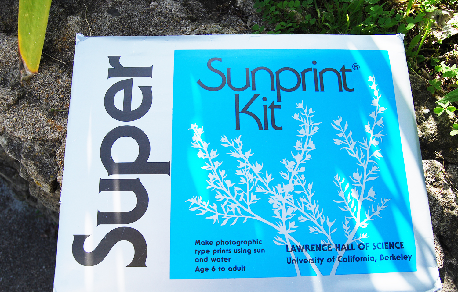 Hello Sunshine. Hello Neato Paper.