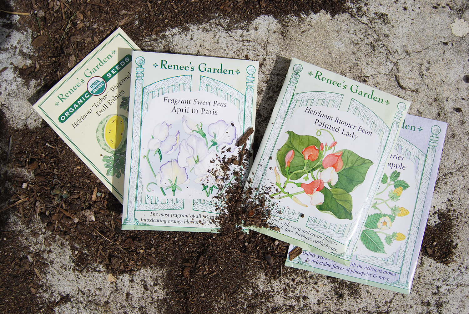 Renee's Garden Seeds: Painted Lady , April In Paris , Alpine Strawberries Heirloom Pineapple , Watermelon Heirloom Icebox {affiliate links}