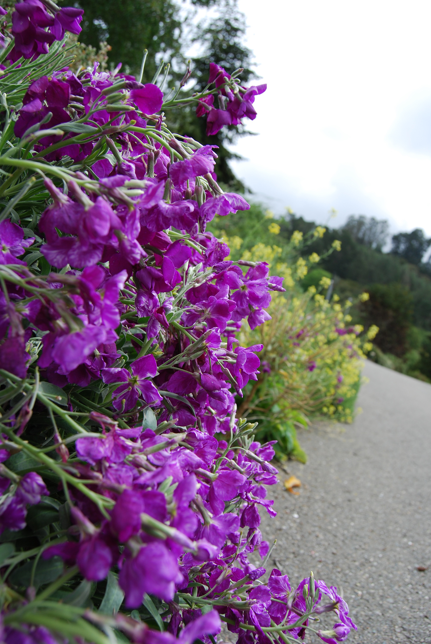botanic_adventure_24.jpg