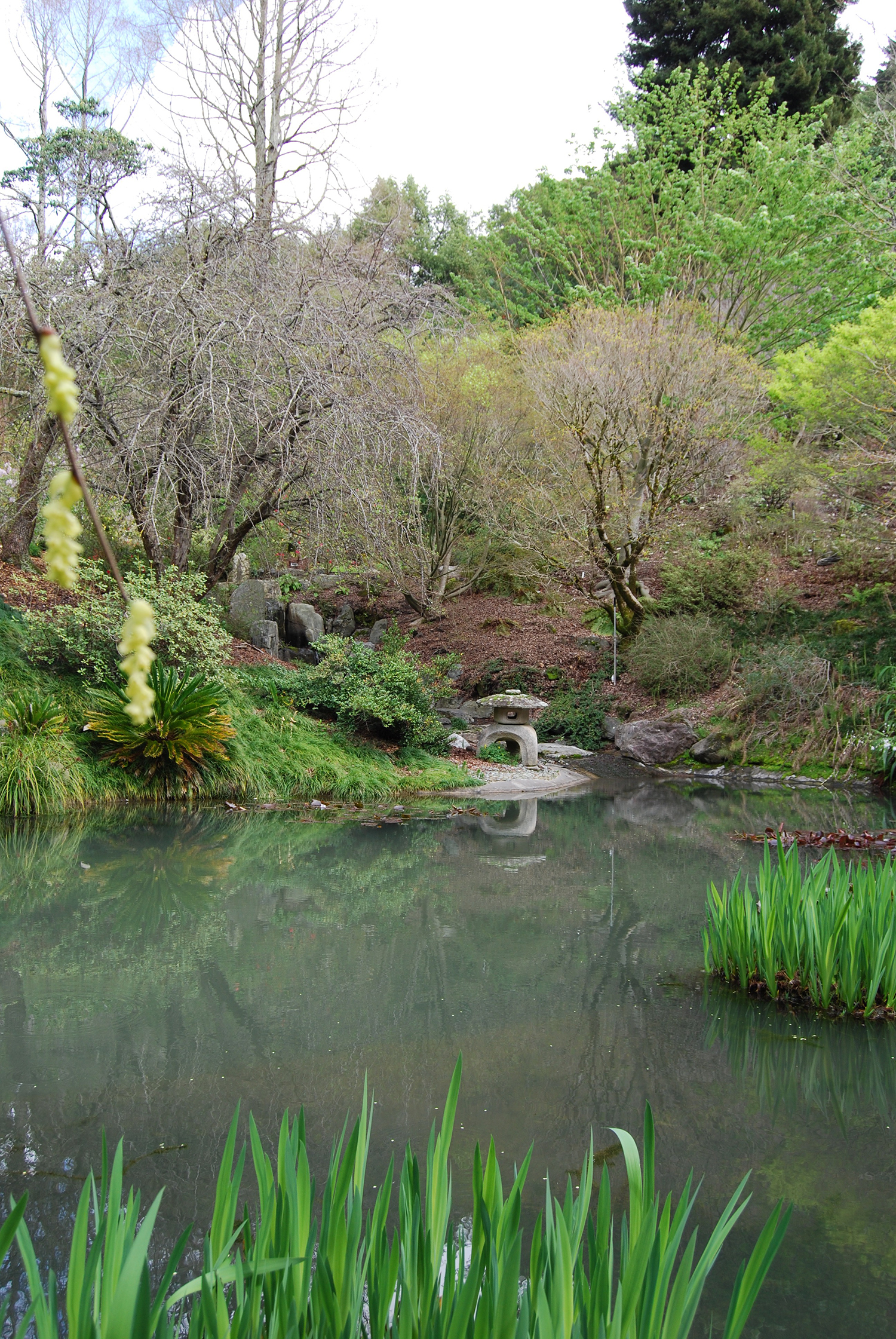 botanic_adventures_15.jpg