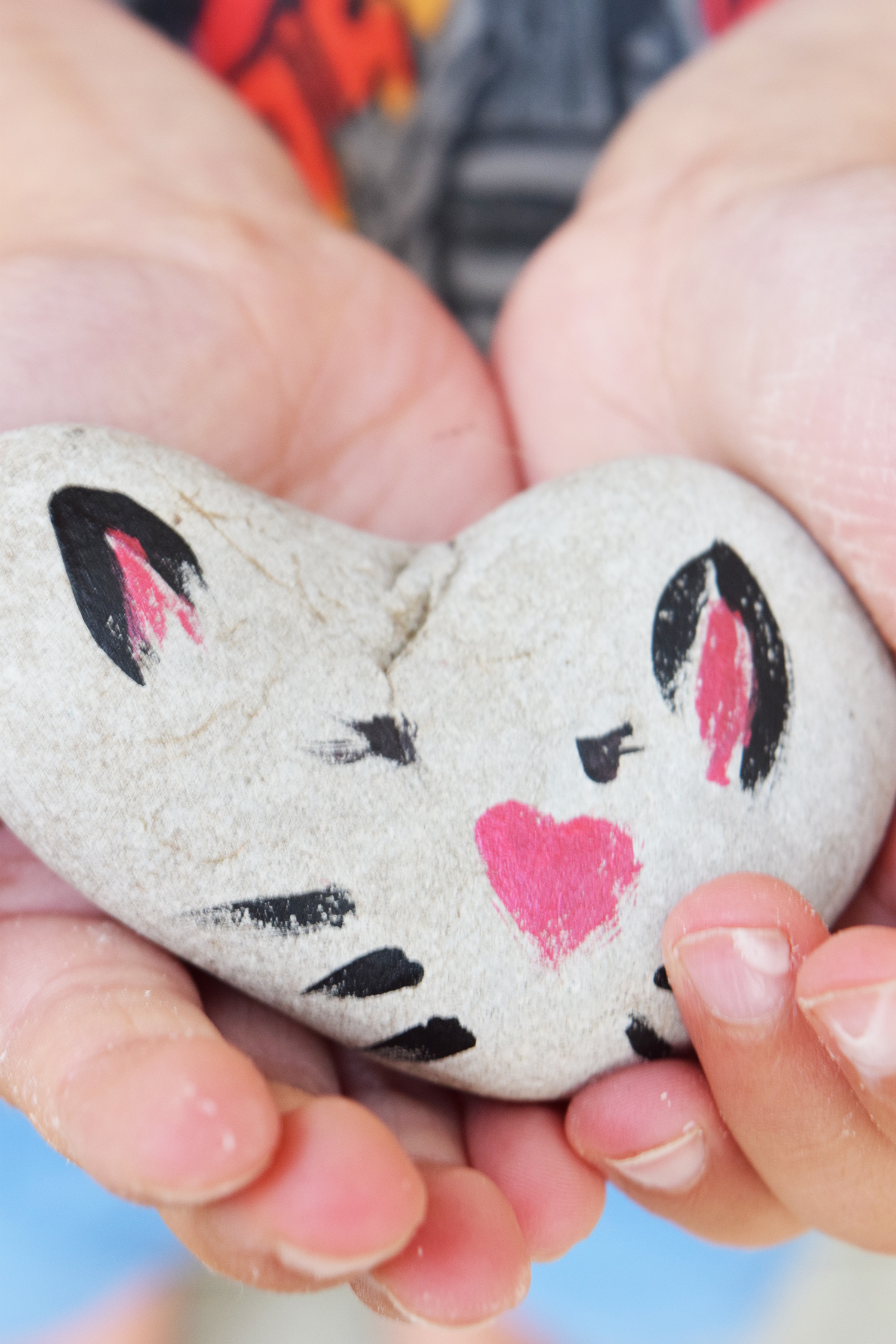 "Blueberry The Pet Rock Cat