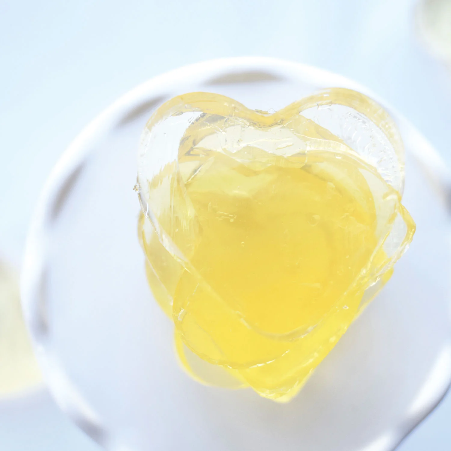 homemade_gelatin_sq_1.jpg