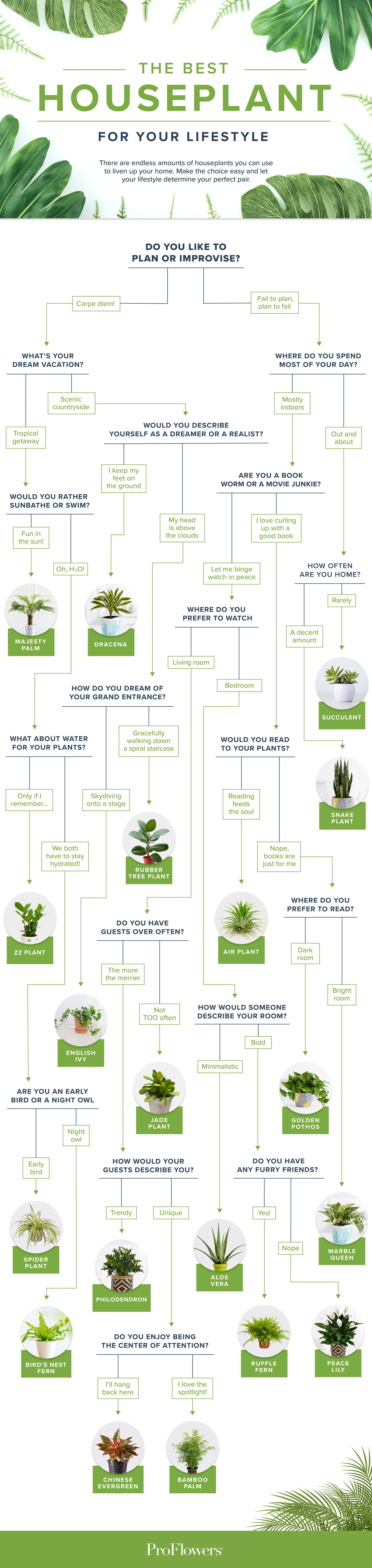 Image: ProFlowers