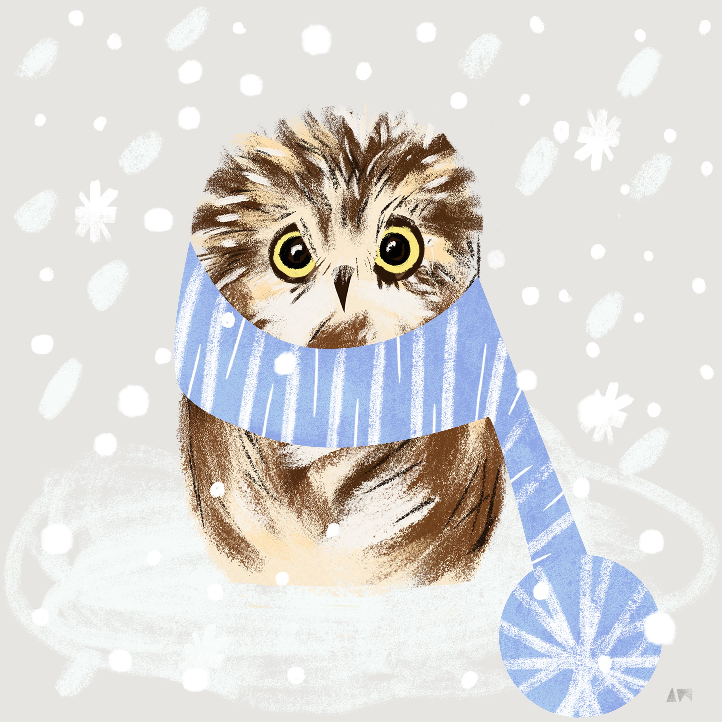 owls_blizzard_andra_weber.jpg