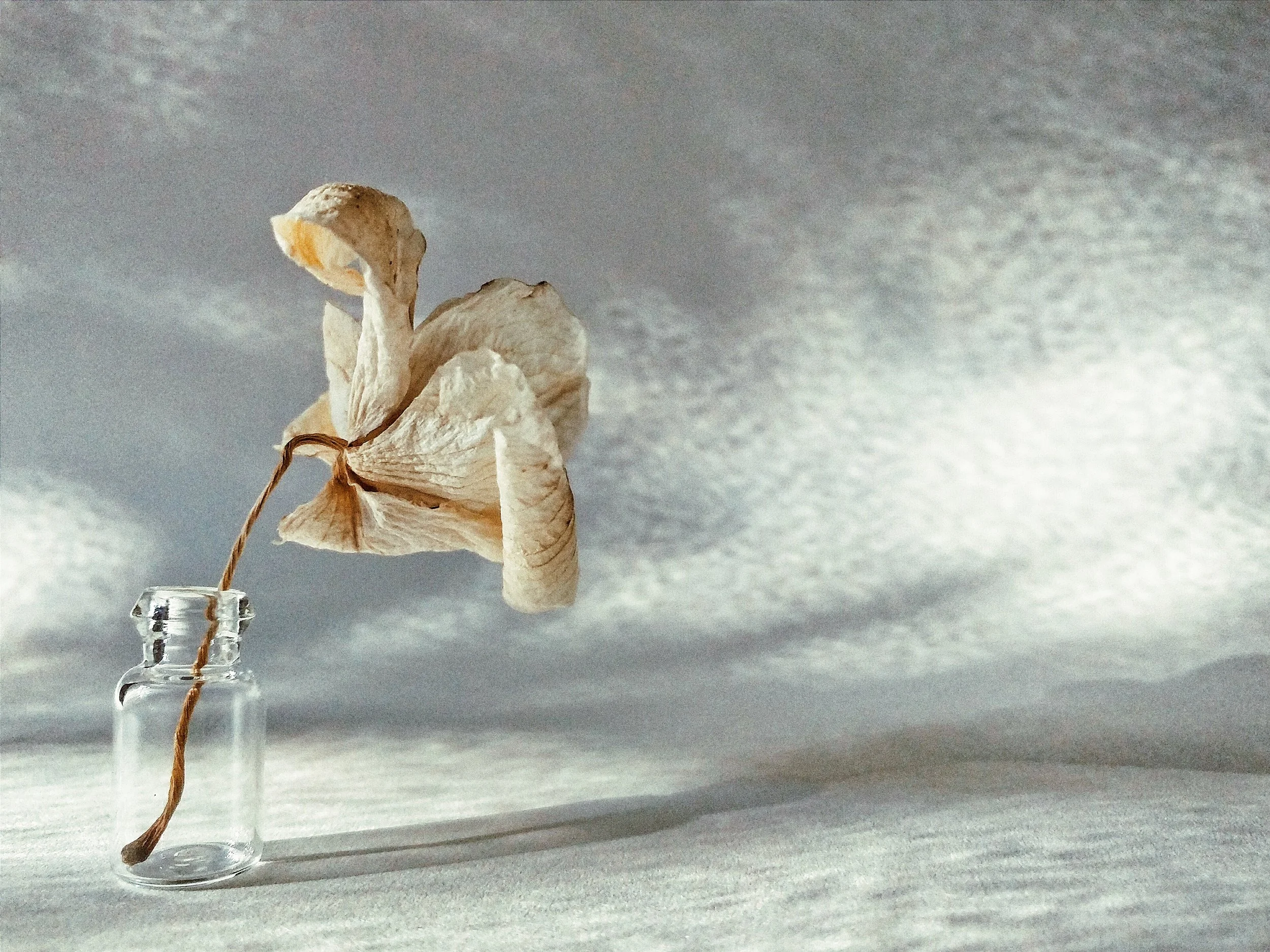 2016-02-27 04.23.35 1.jpg