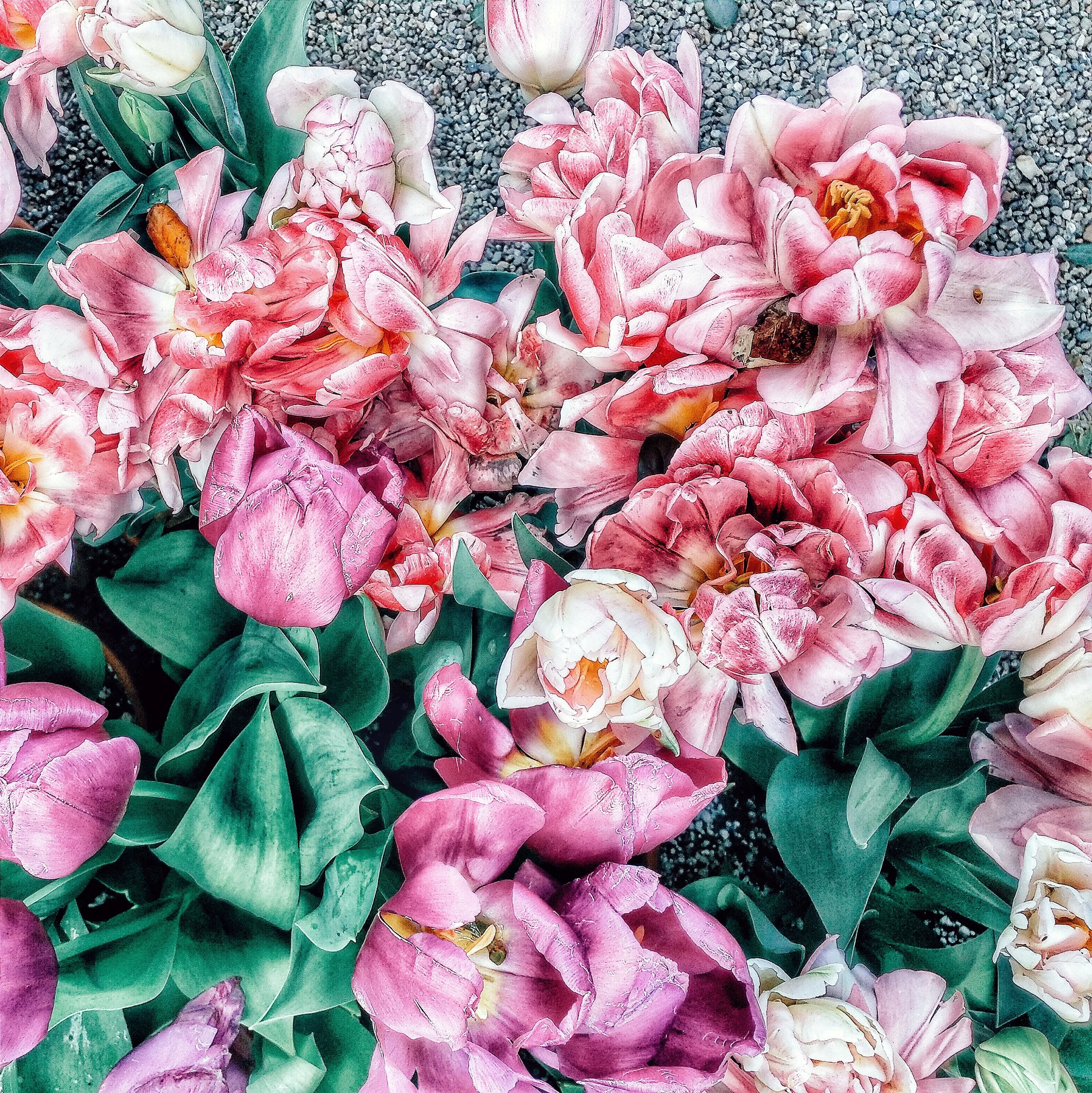 2016-03-12 03.07.27 1.jpg