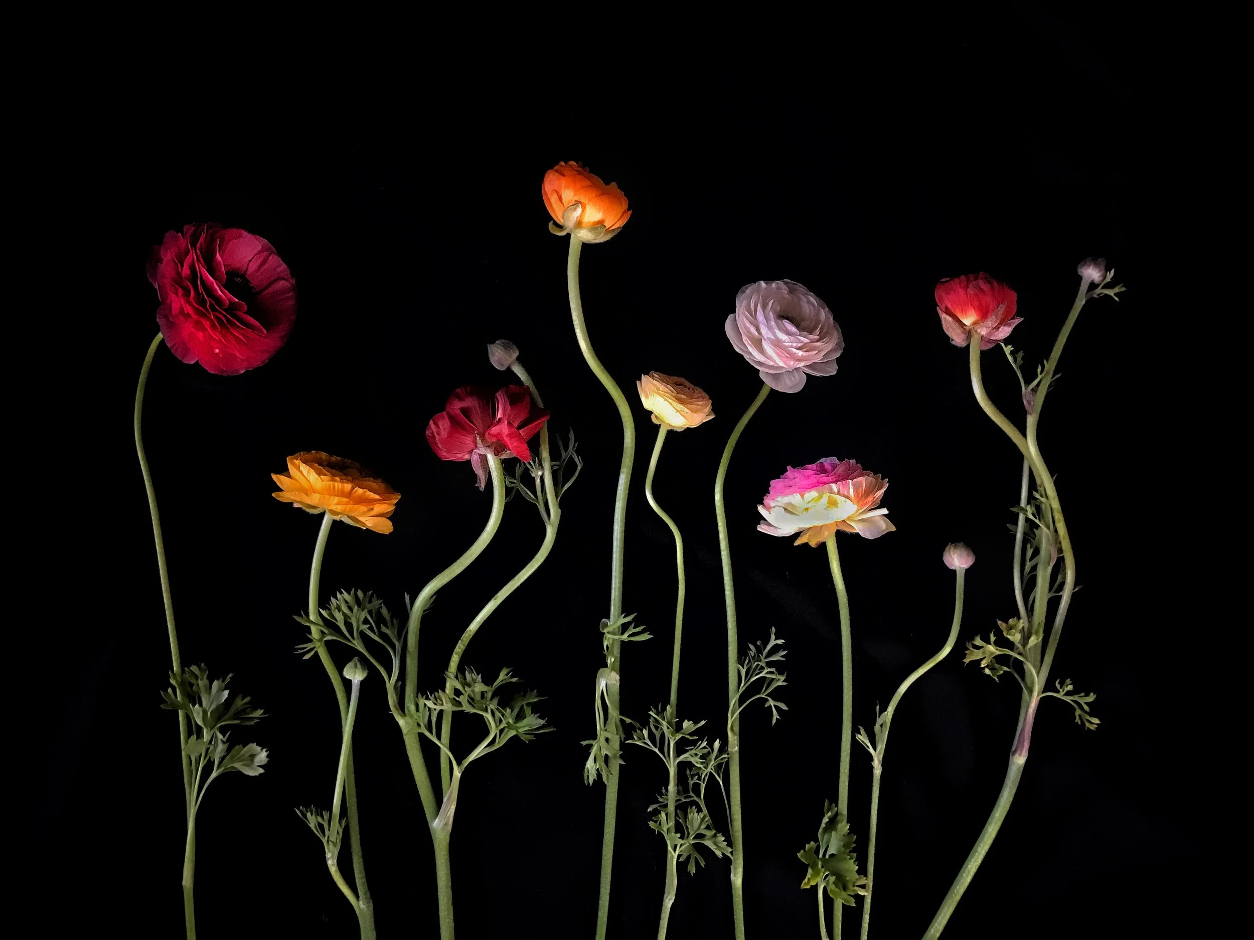 Photo Apr 18, 4 46 18 PM.jpg