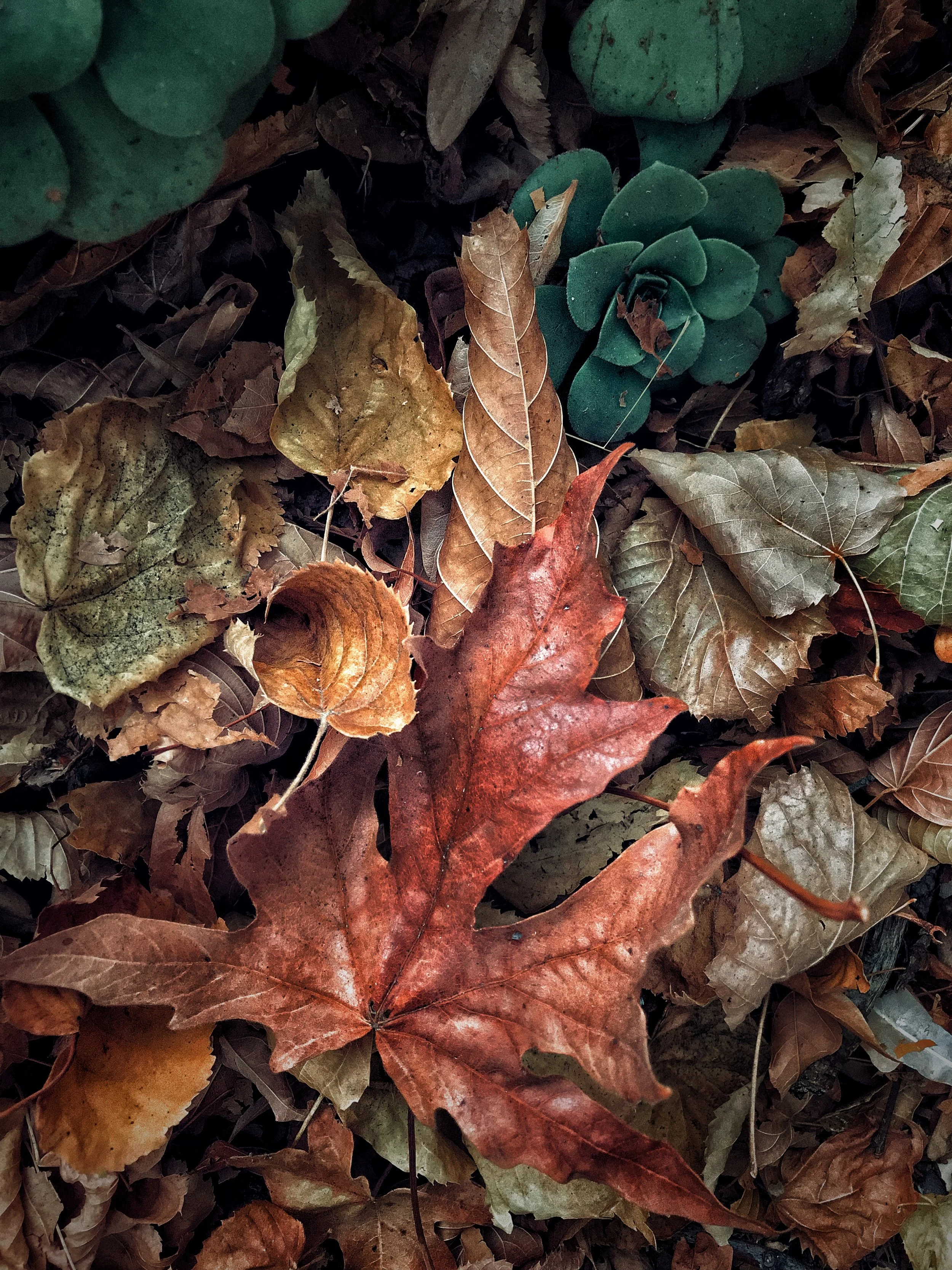 Photo Oct 29, 10 56 34 AM.jpg