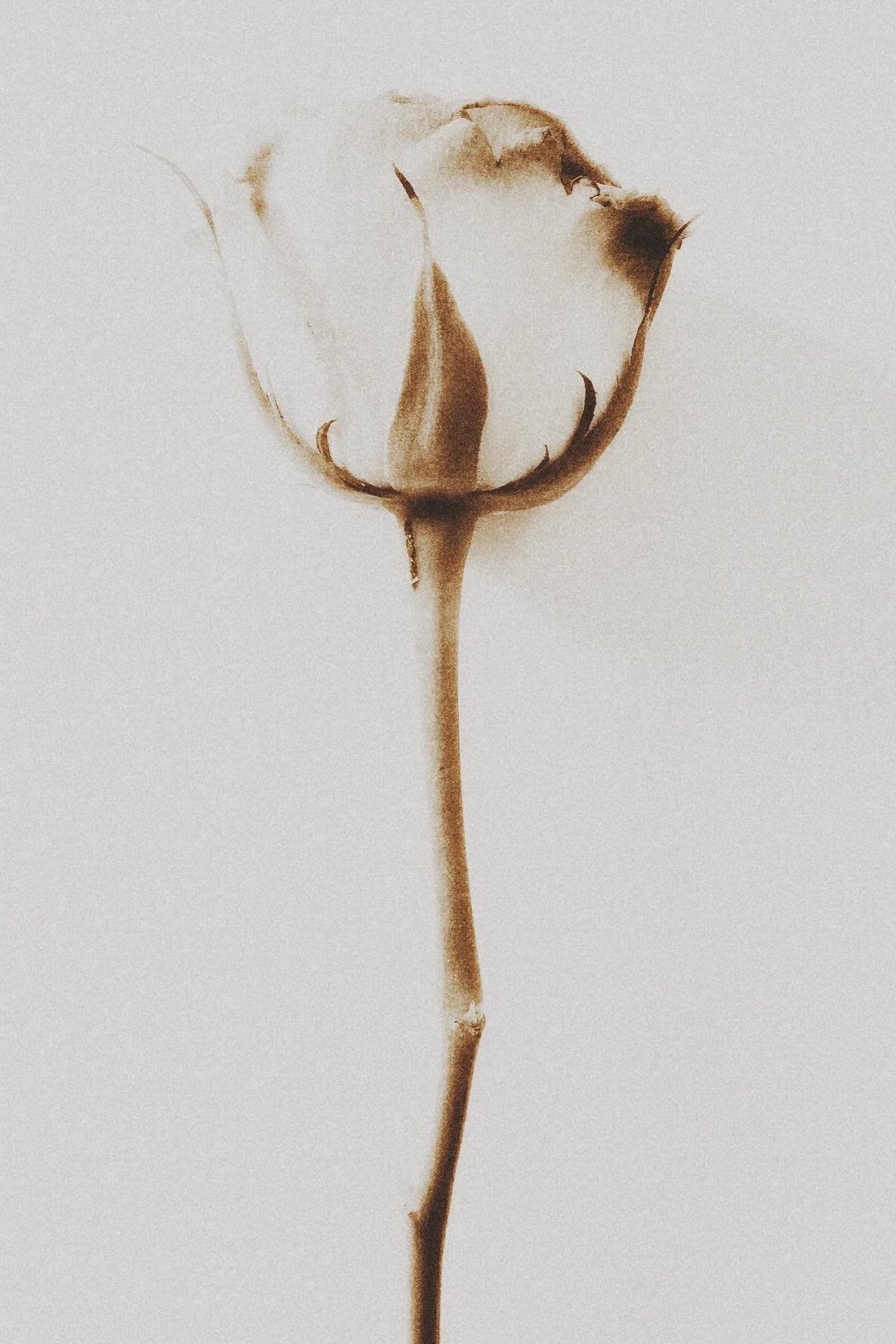 2015-03-22 07.17.08 1.jpg