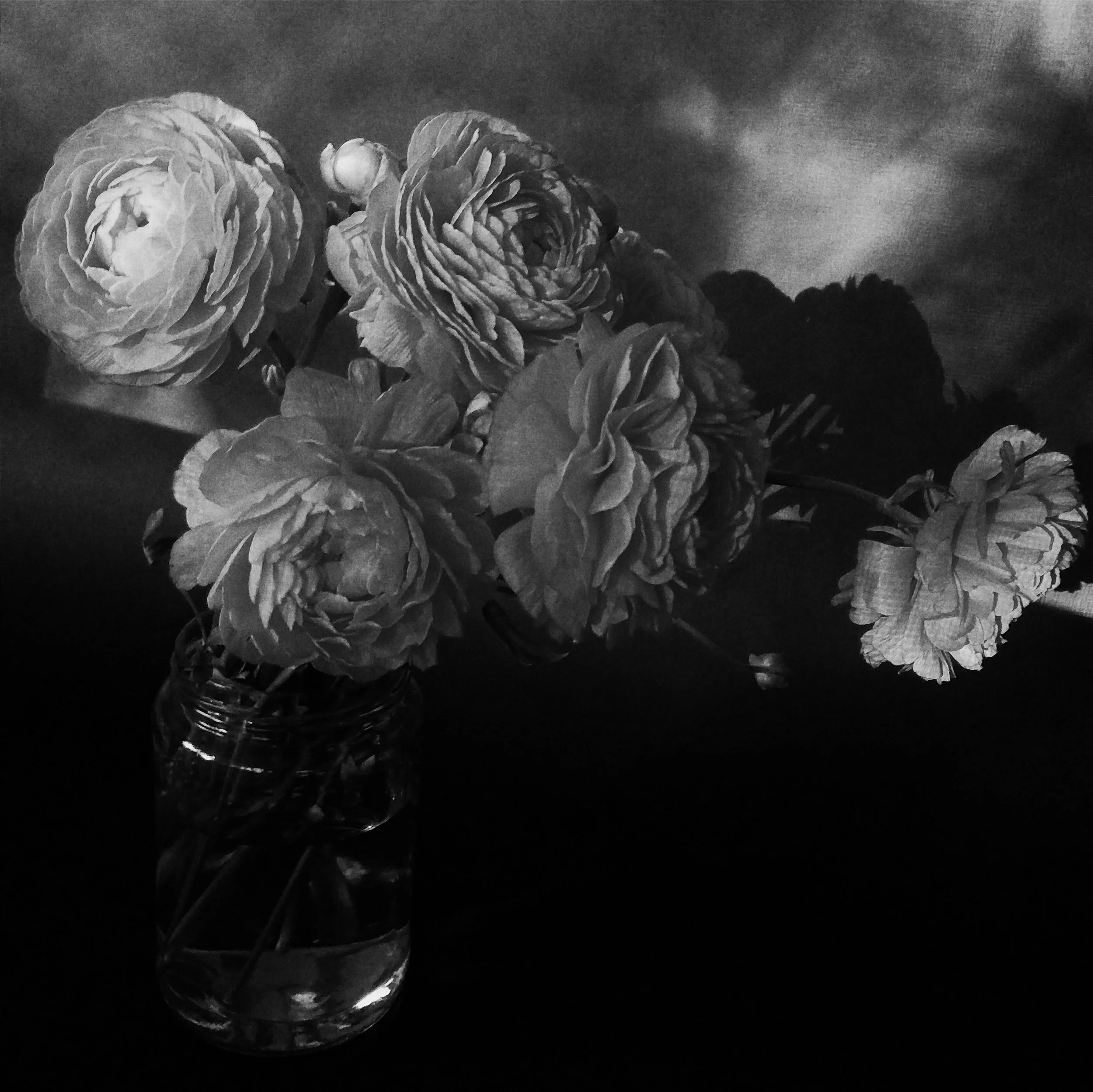 2015-11-23 11.56.36 1.jpg