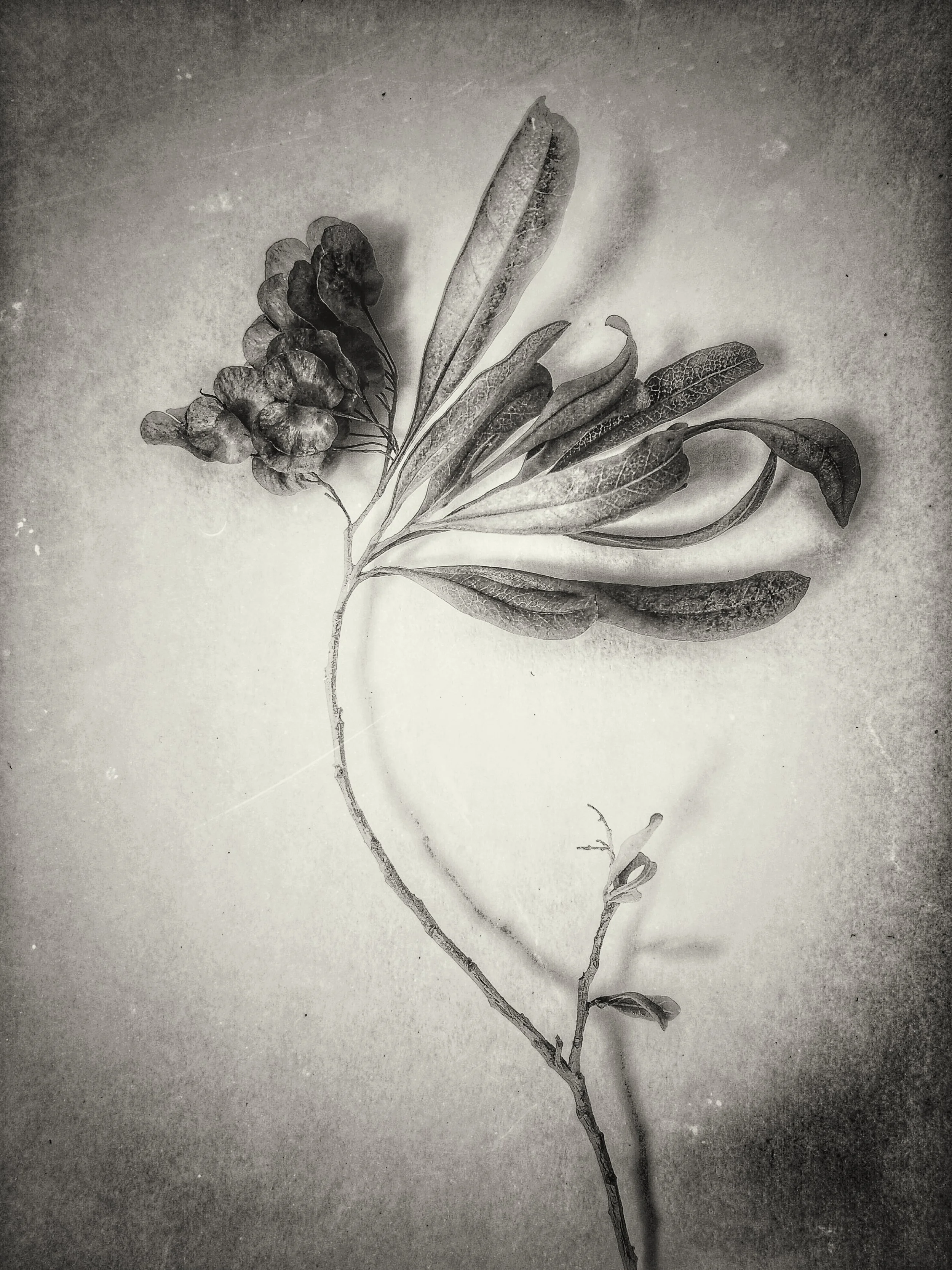 2015-11-25 09.54.27 1.jpg