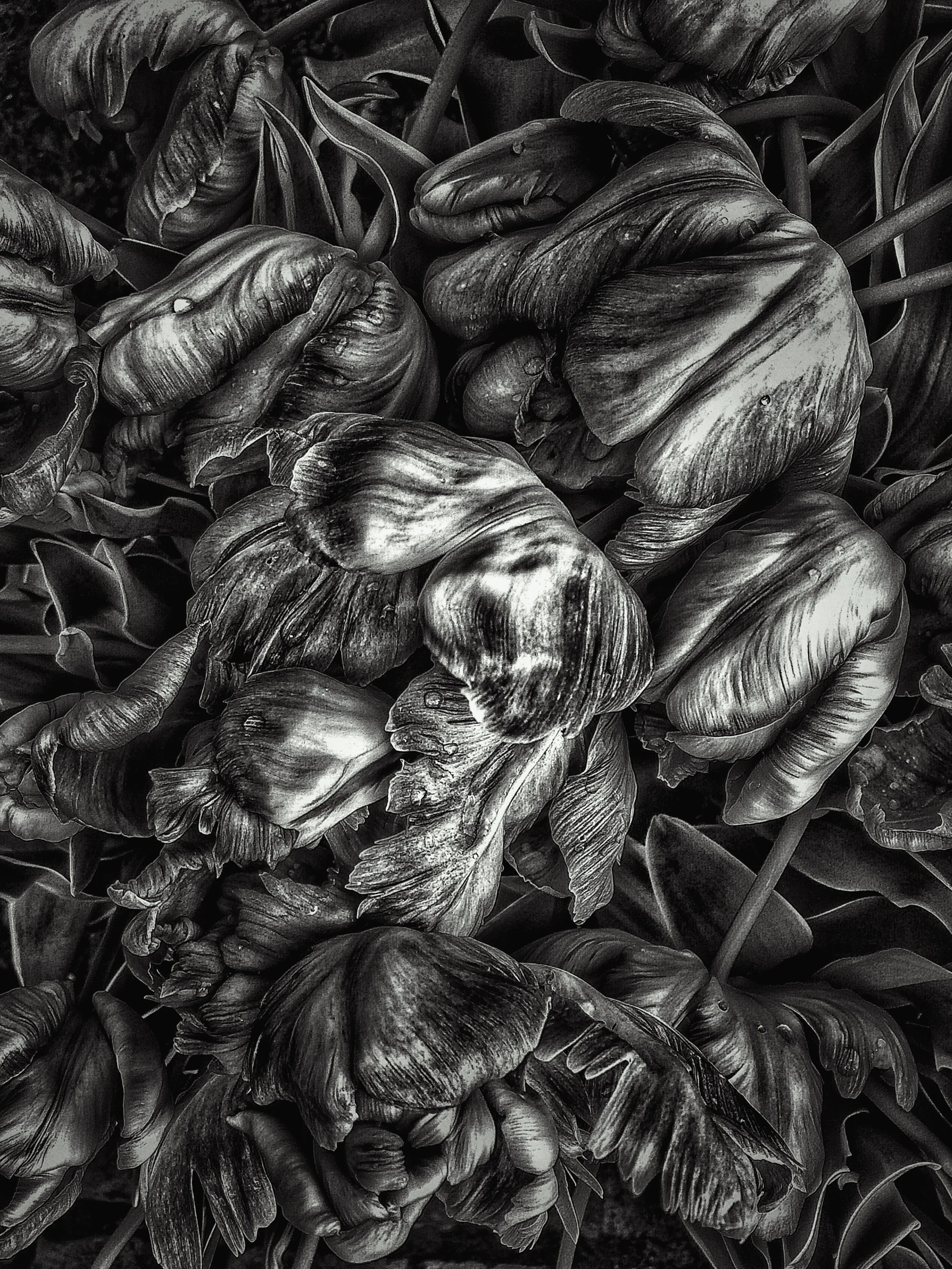 2016-03-12 03.30.52 1-01.jpeg