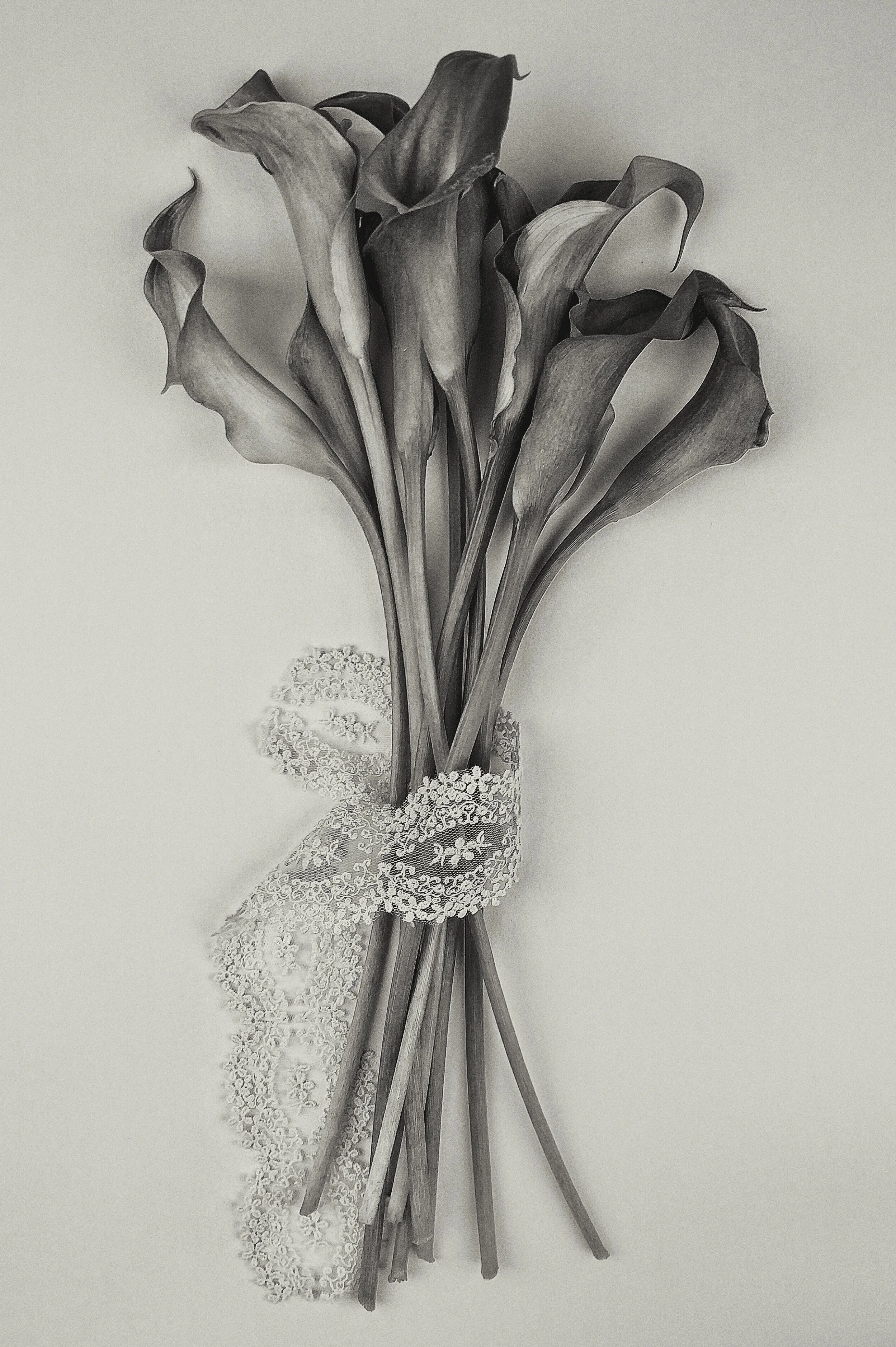 2016-09-13 08.04.20 1.jpg