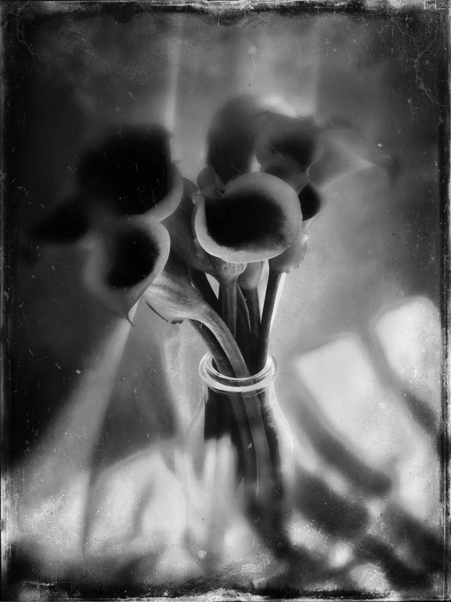 Photo Oct 01, 3 22 12 PM.jpg