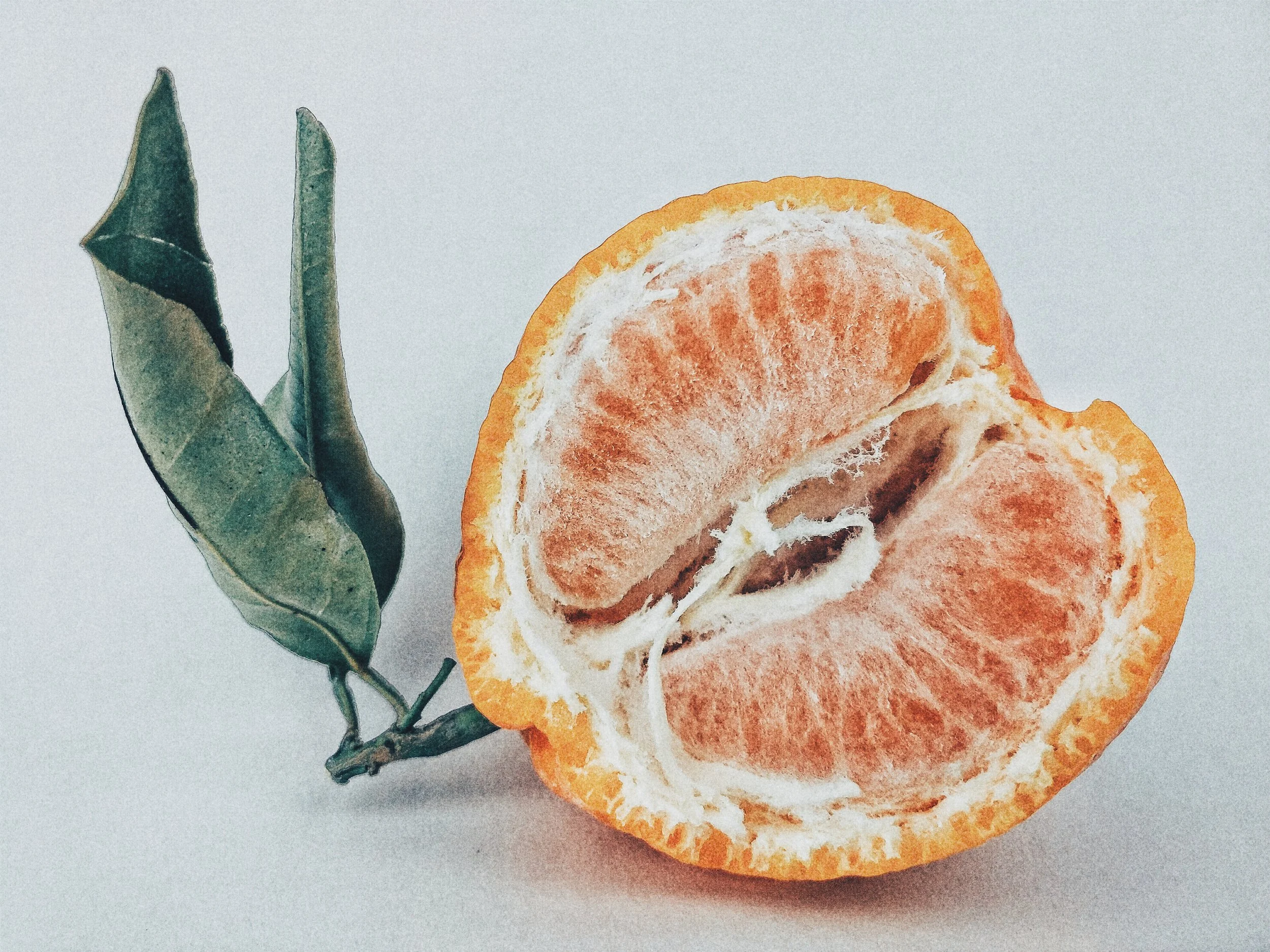 2015-12-22 01.32.06 1.jpg