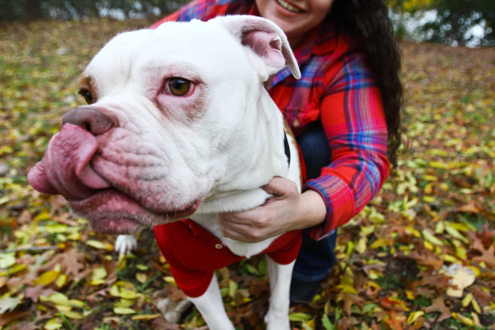 ttp silas dog show 3.JPG