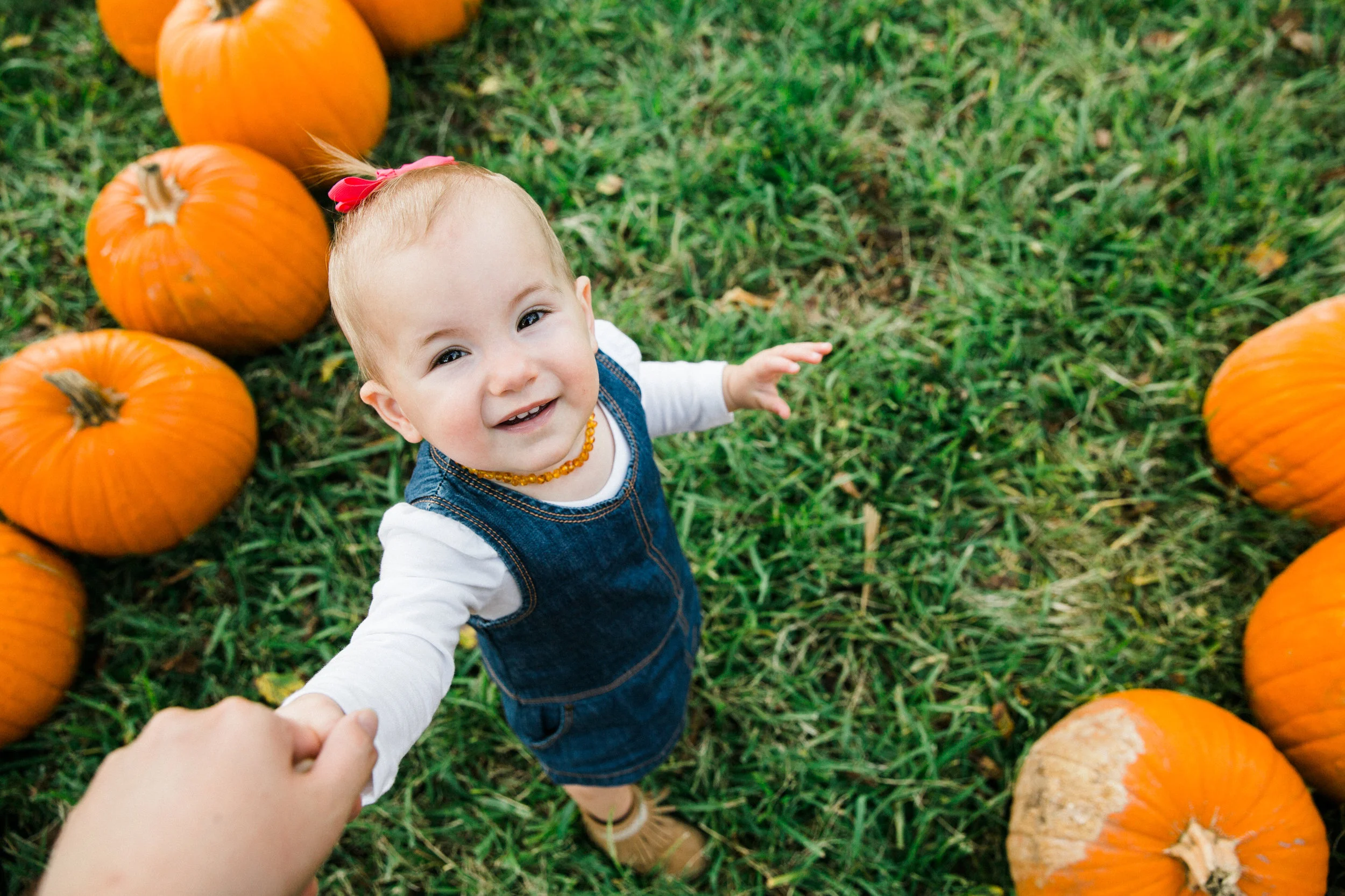 101516_kennedy_pumpkinpatch-16.jpg