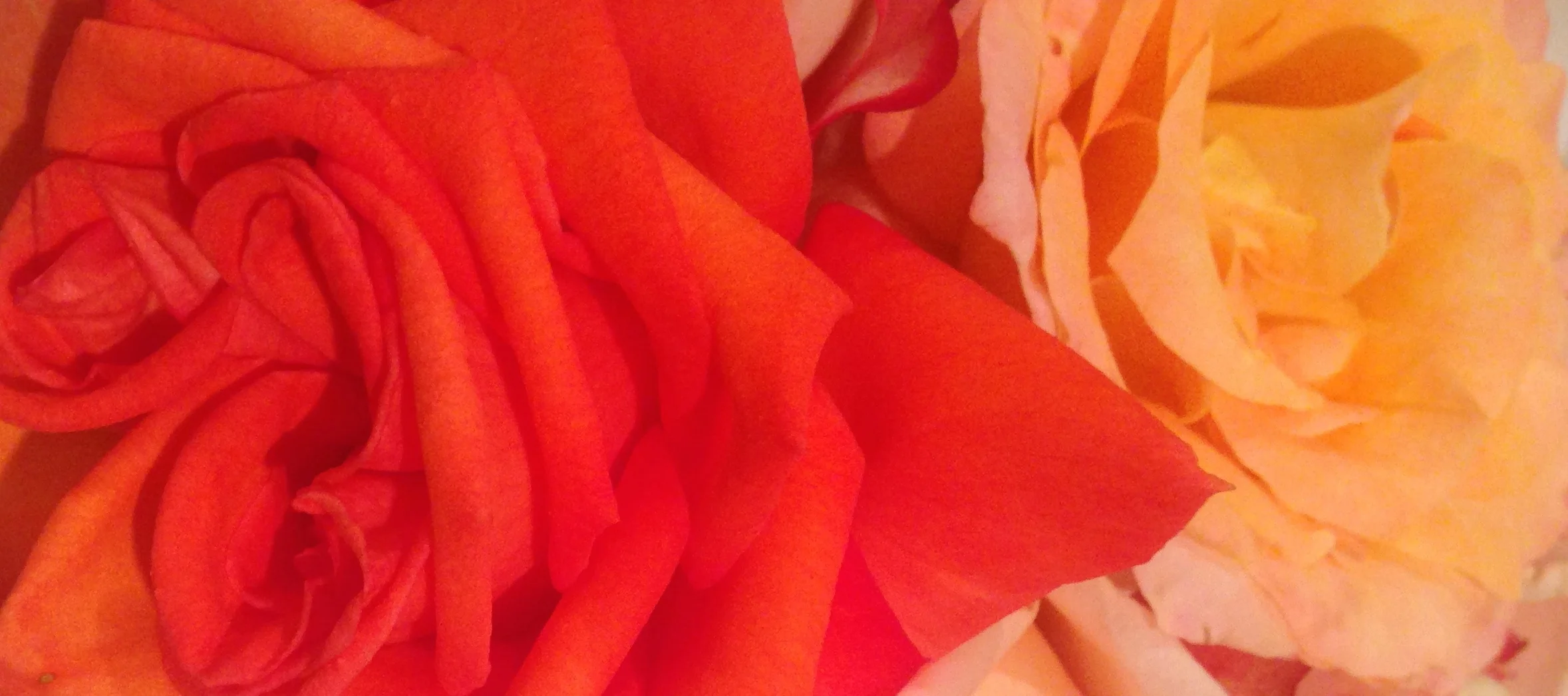 Grabbing Hold of Life