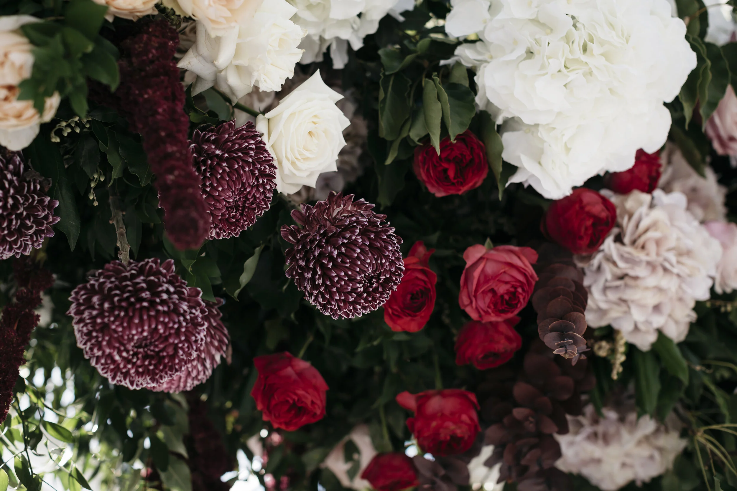 Cayleigh+David_KatieHarmsworth-548.jpg
