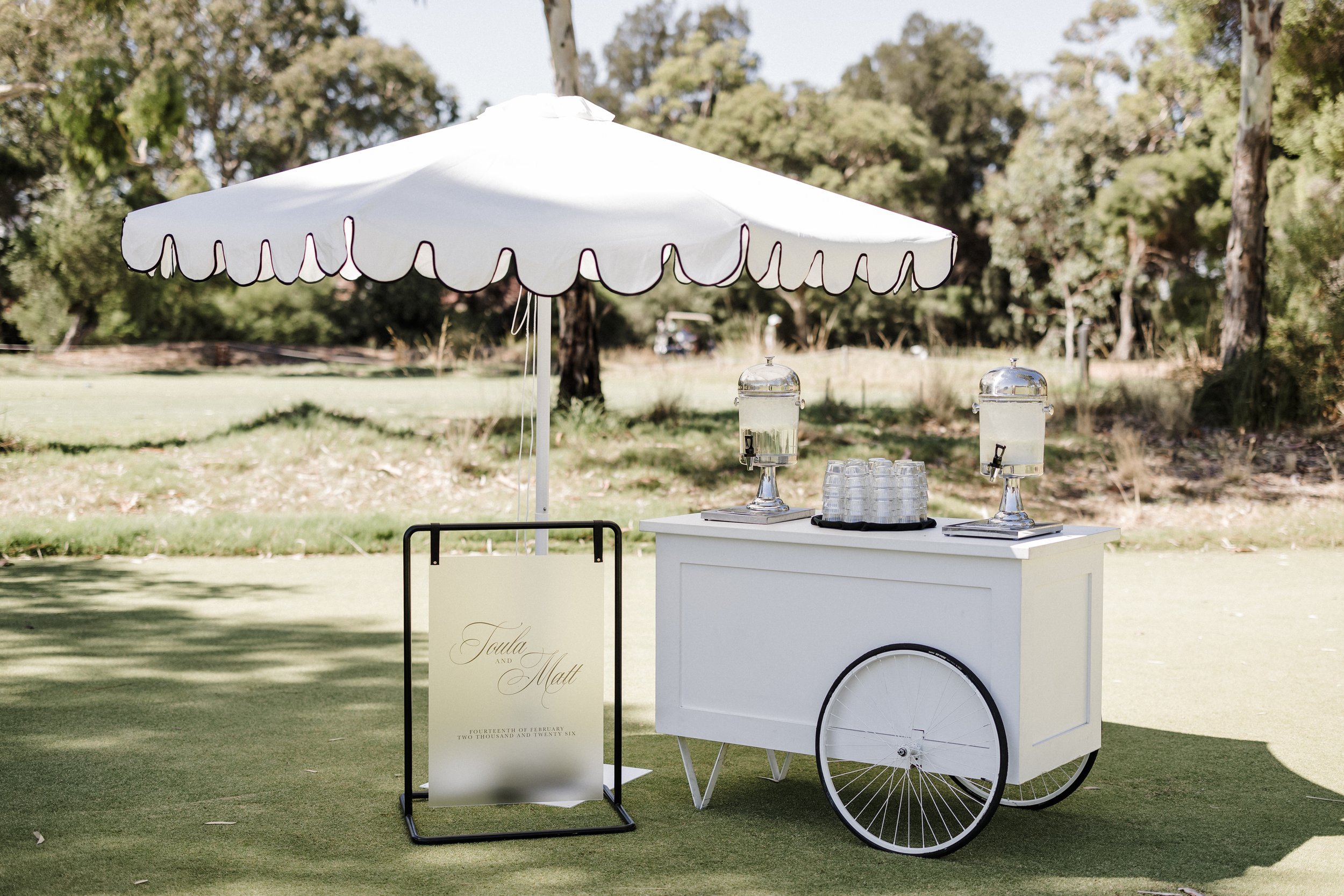 Toula and Matts Wedding 008.jpg