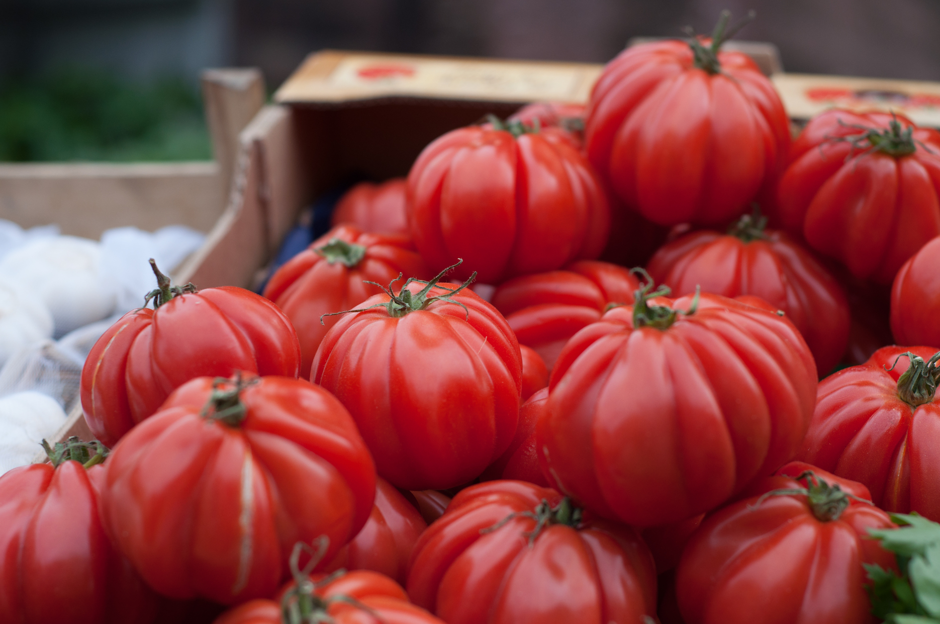 tomato.jpeg