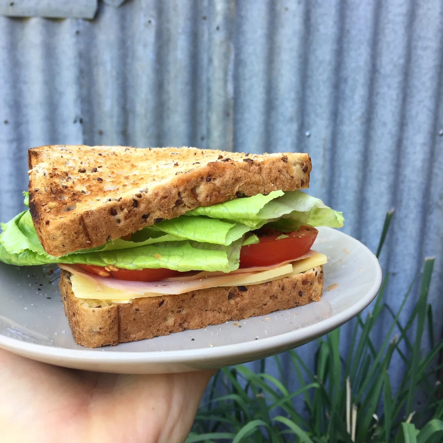 sandwich.jpg