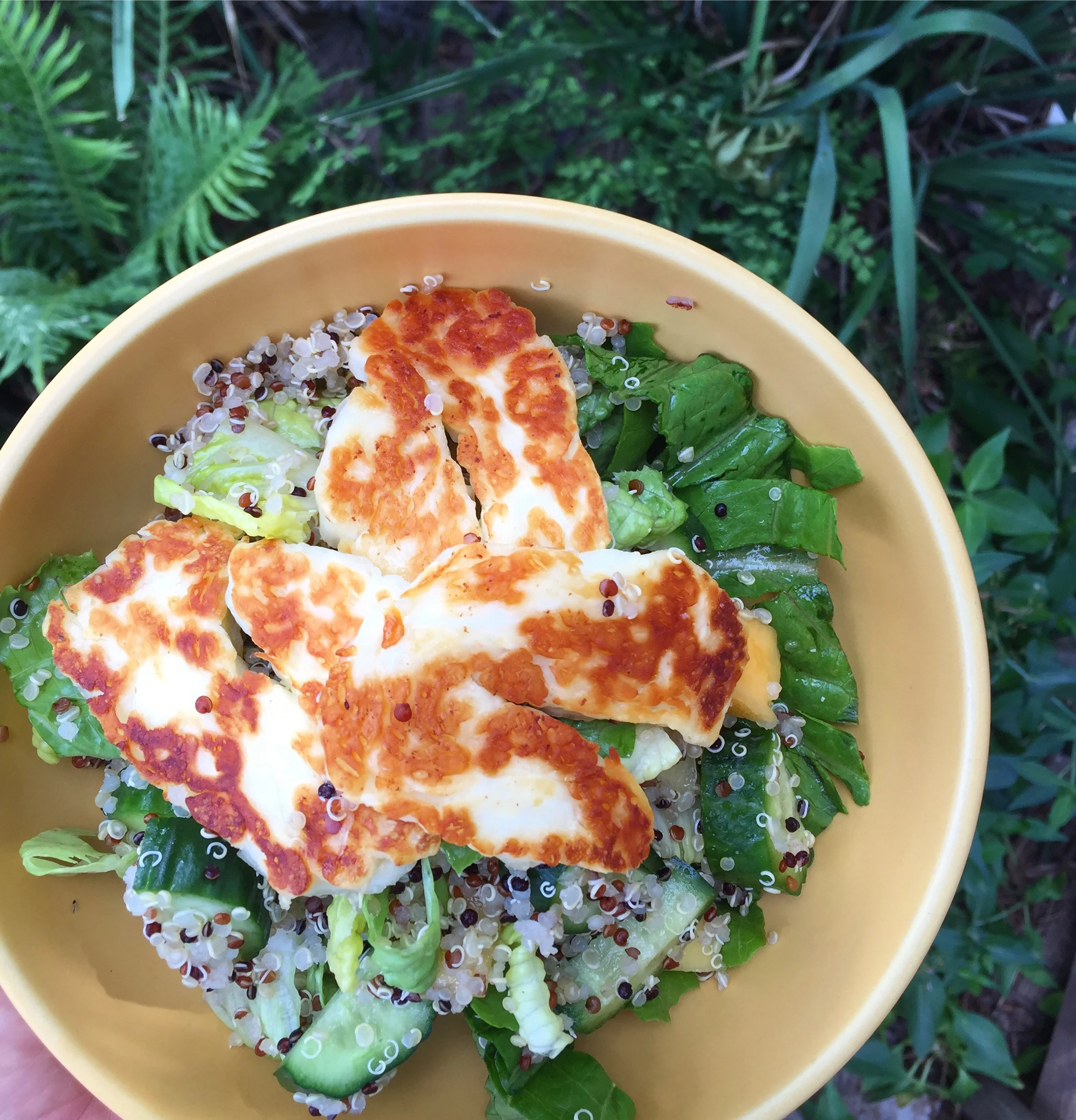 Mango, Haloumi and Quinoa Salad 