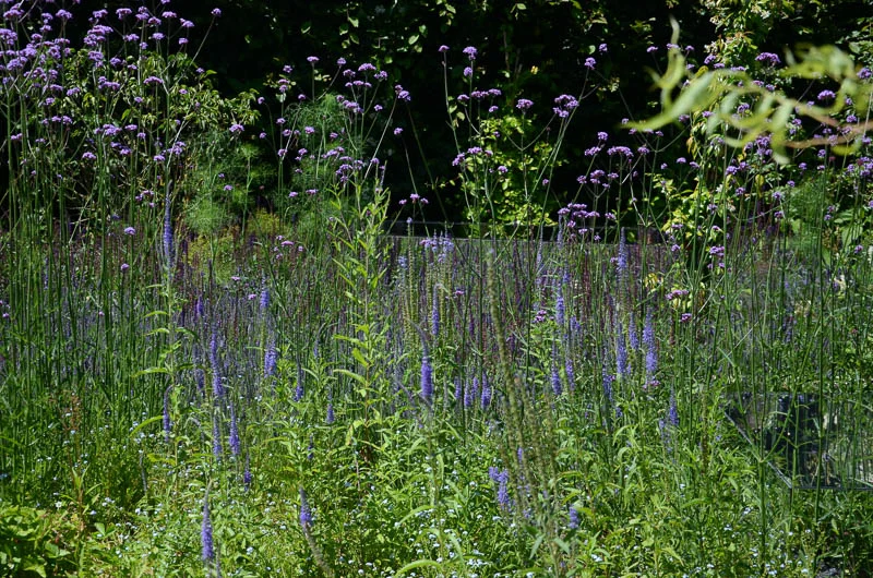chaumont-3225.jpg