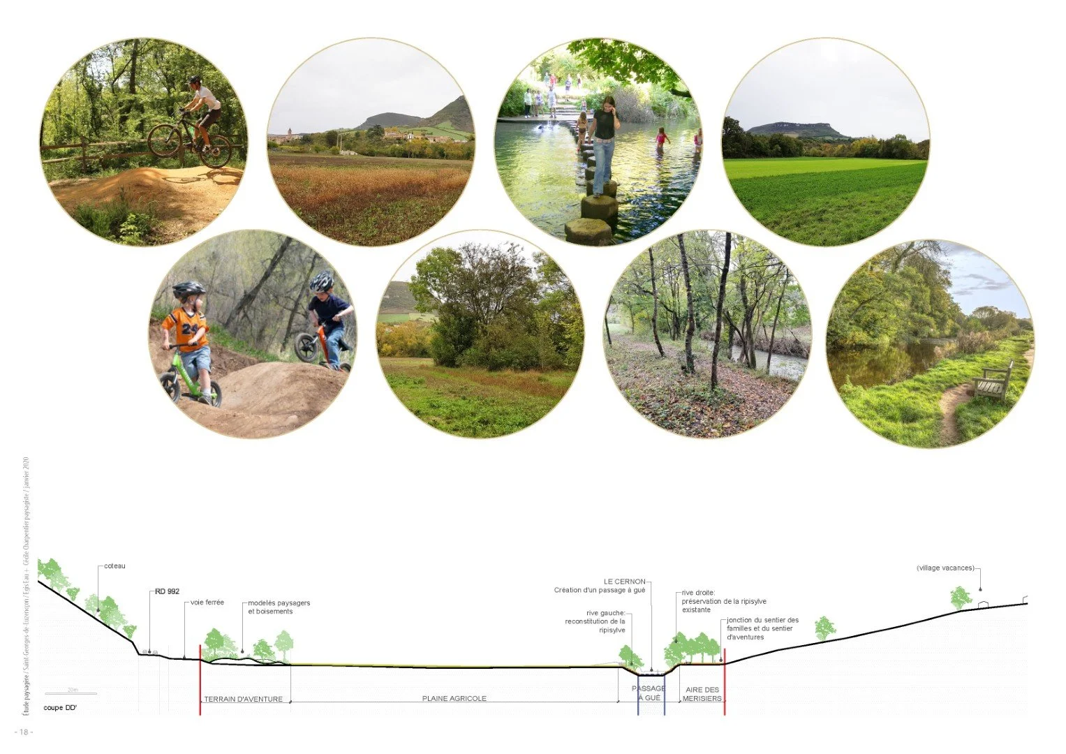 Cernon riviere coupe schema directeur 2@cecile-charpentier.jpg