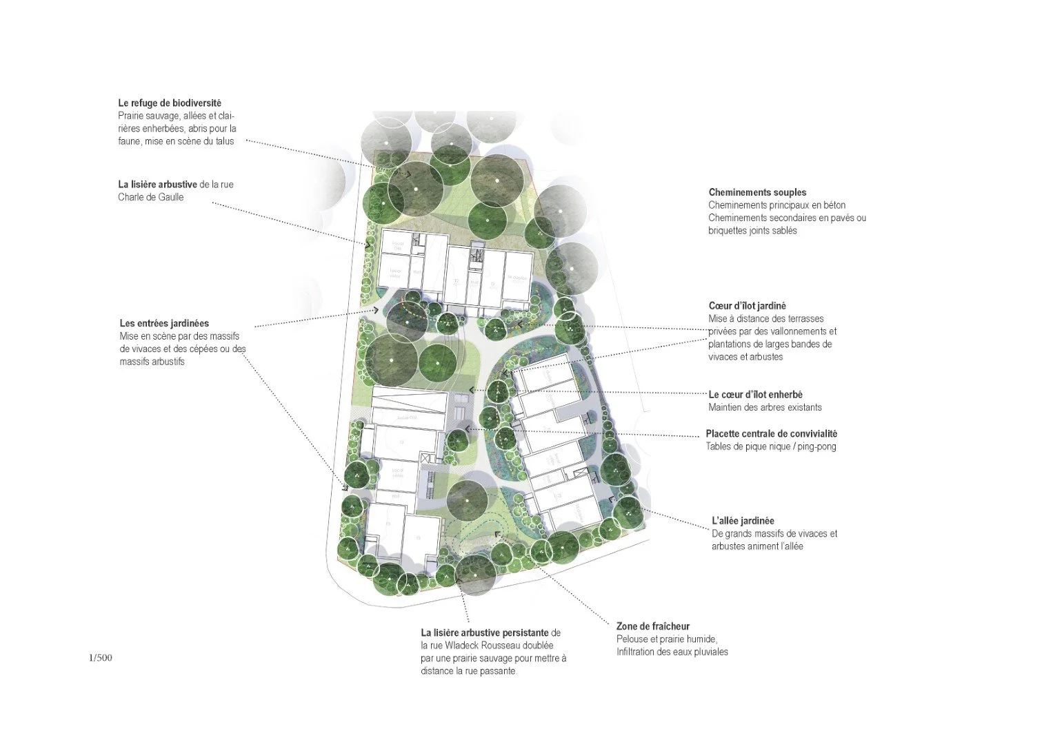 esquisse coeur ilot @cecile-charpentier.jpg