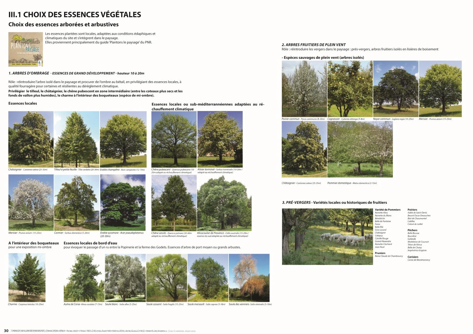 Hectar palette végétale@cecile-charpentier.jpg