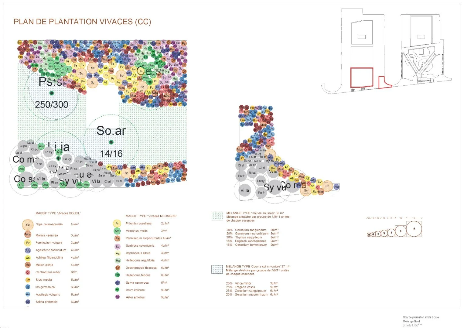 plan plantation@cecile-charpentier.jpg