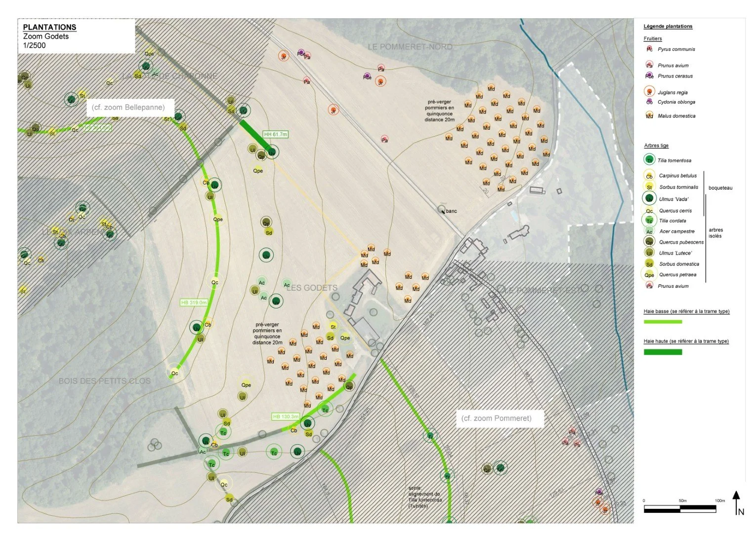 Plantation Helix agriculture @cecile-charpentier.jpg