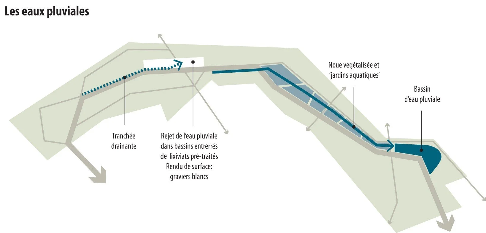 schema eau pluviale @cecile-charpentier.jpg