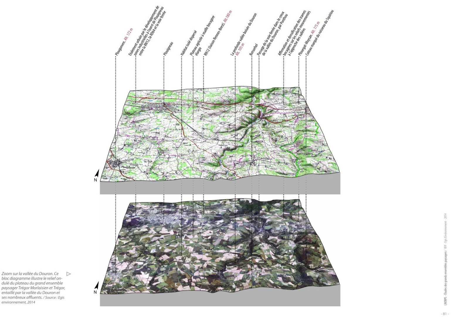 LNOBPL-diagnostic bloc diagramme@cecile-charpentier.jpg