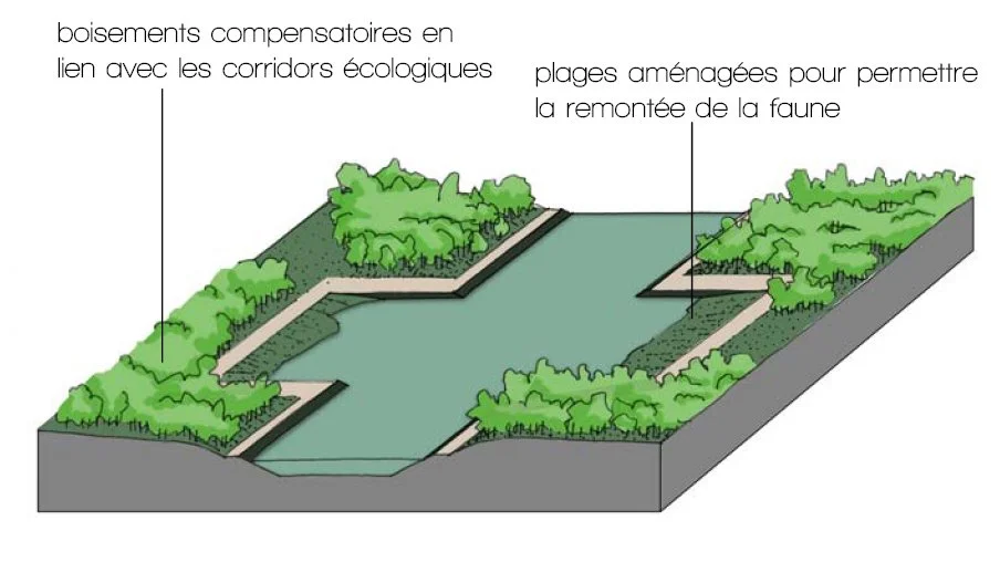 CSNE schema passage faune2.jpg
