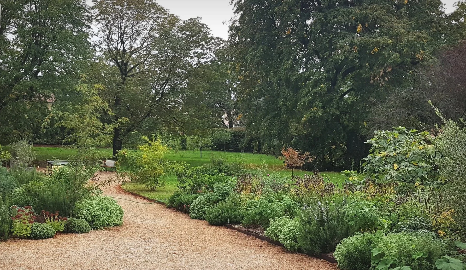 jardin d'automne méditerrannéen 2@cecile-charpentier.jpg