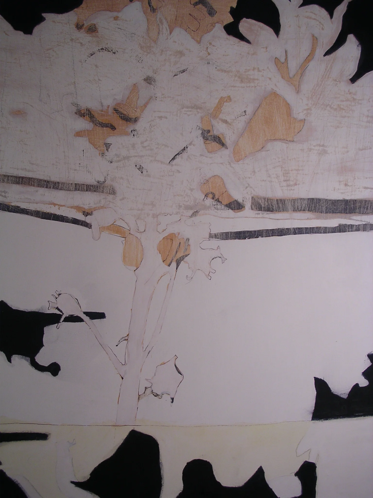 DSCN3614.JPG