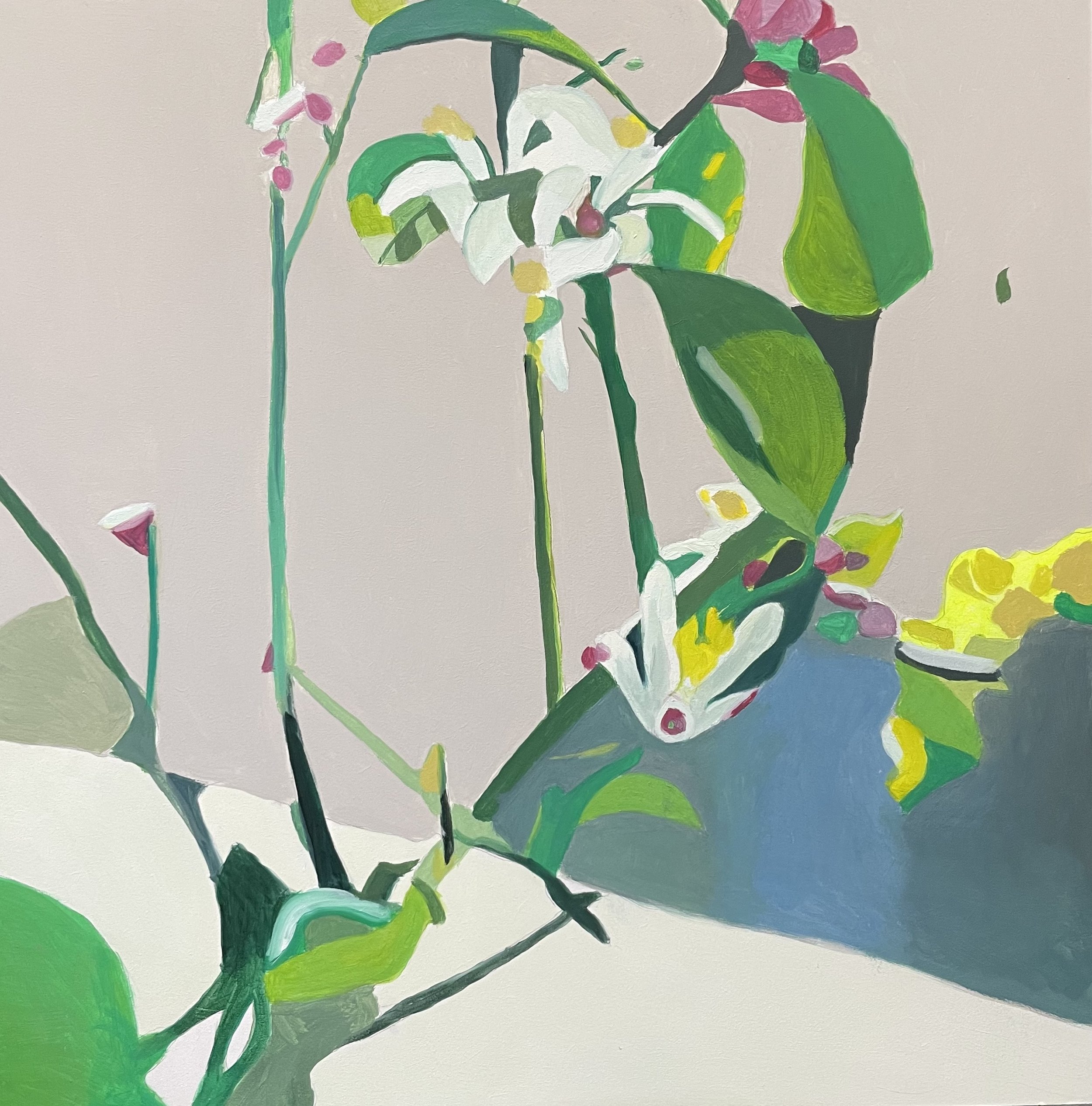 Still Life Dreamscape