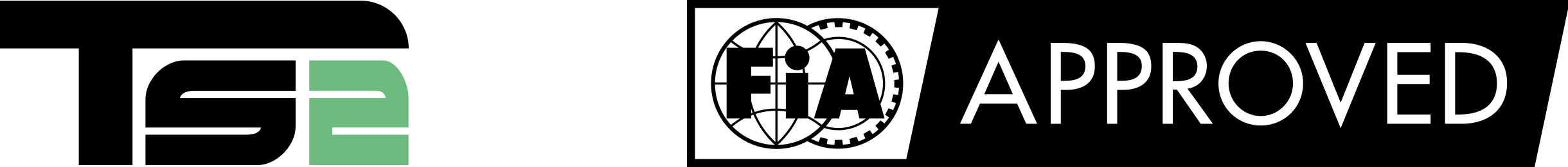 ts2-fia.png