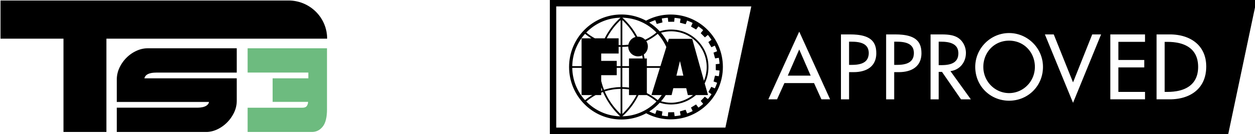 ts3-fia.png