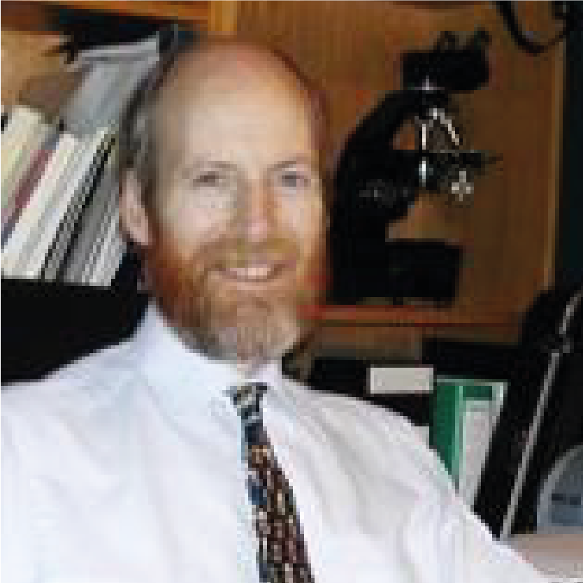 Professor Chris Kibbler