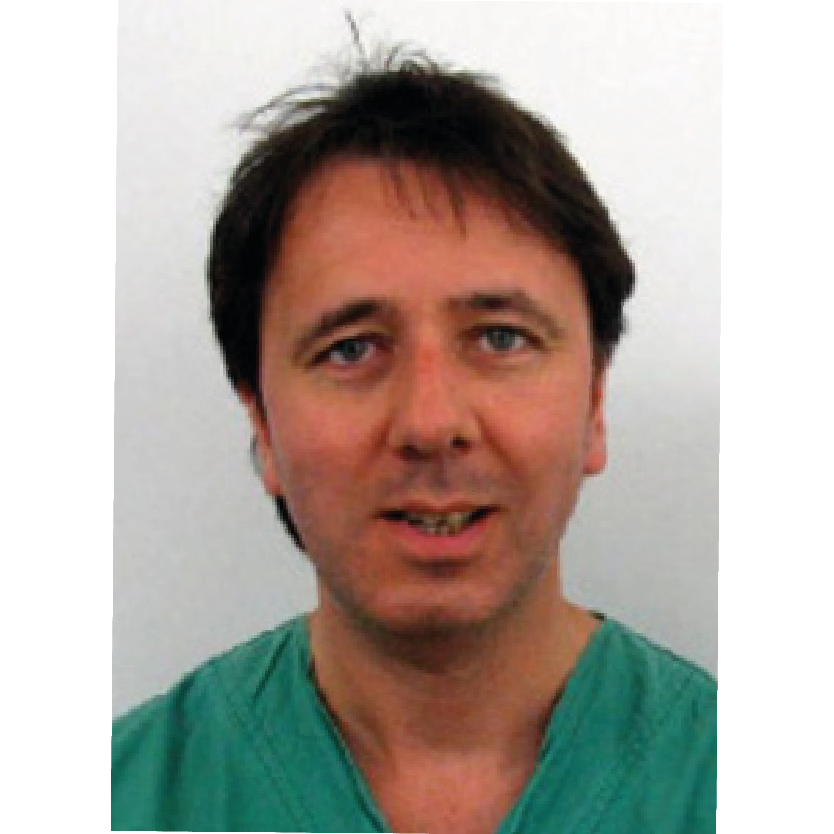 Professor Johan Maertens