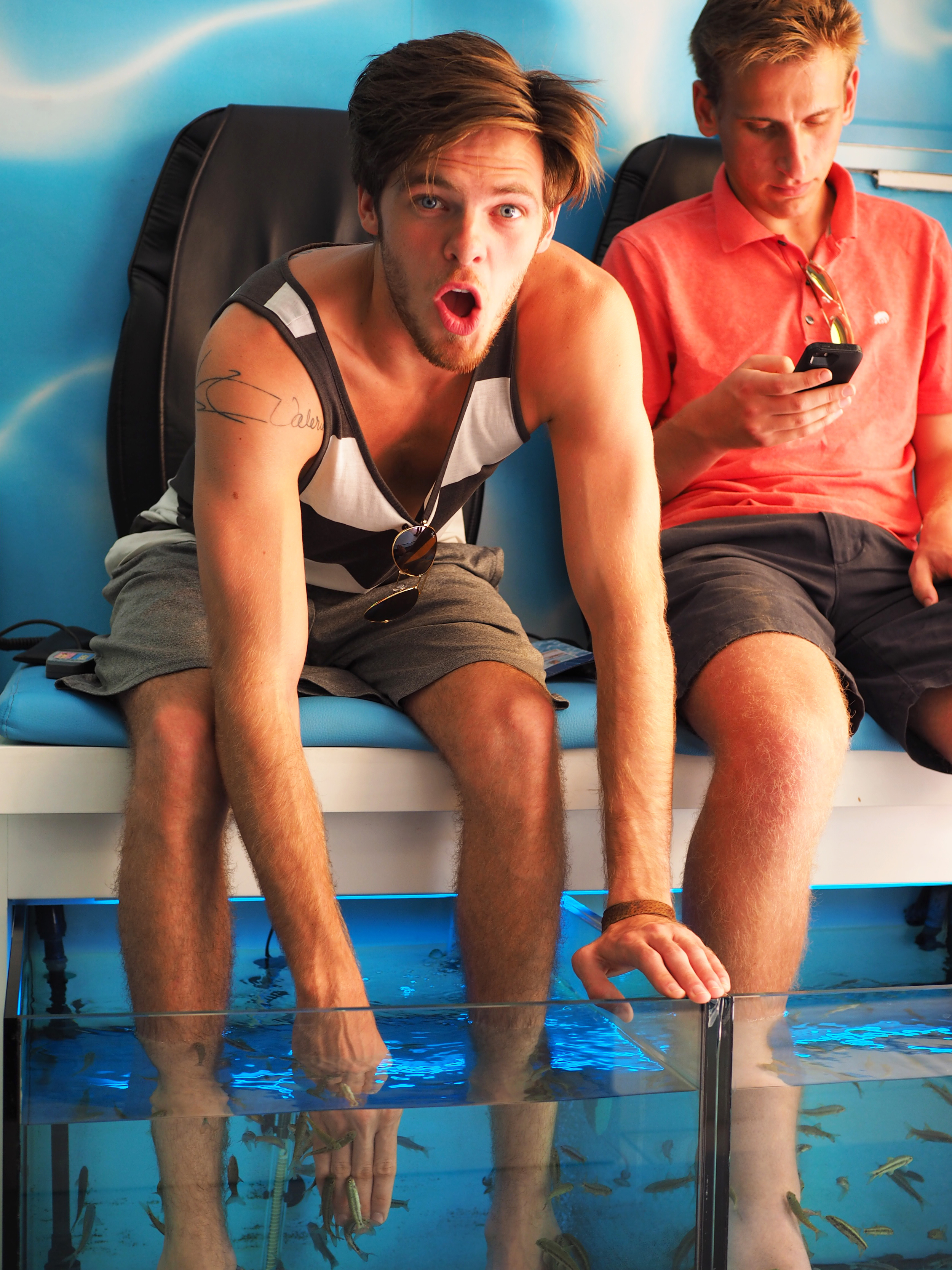 The Fish Spa