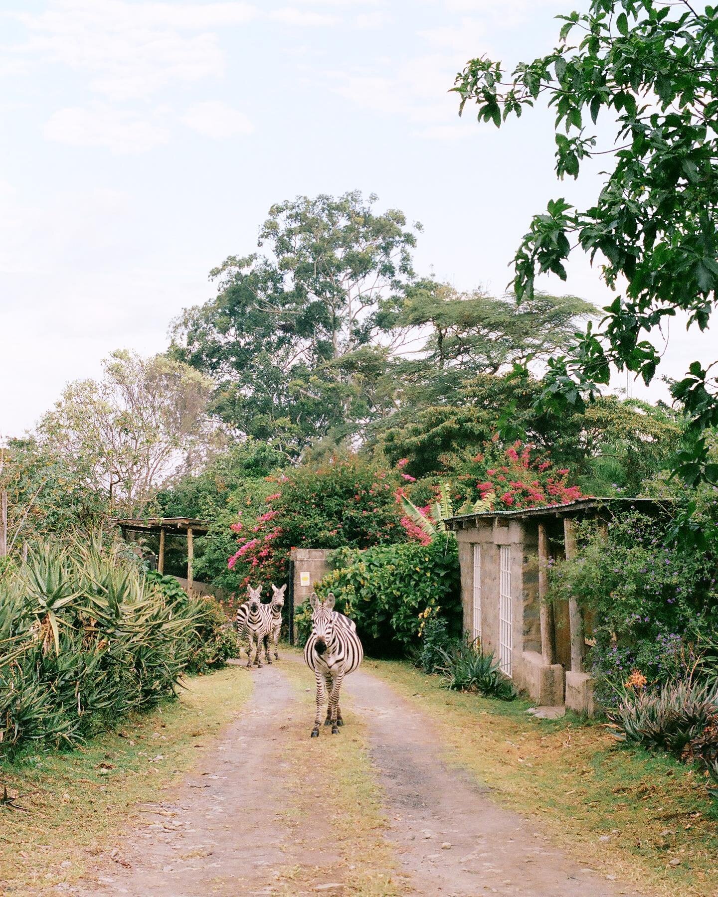 Around Naivasha.