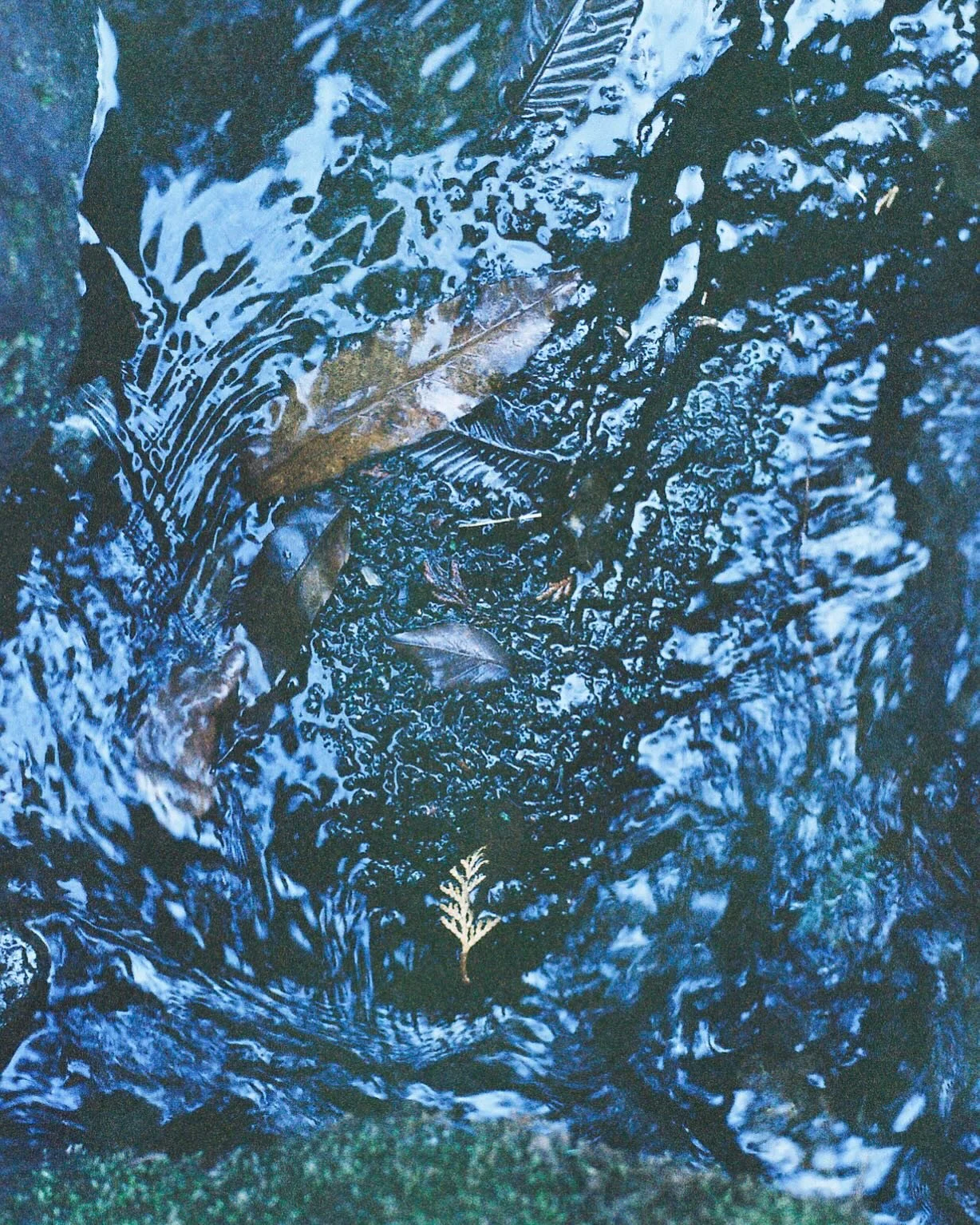 stillness in water / water in winter

Hakone, January 2025.