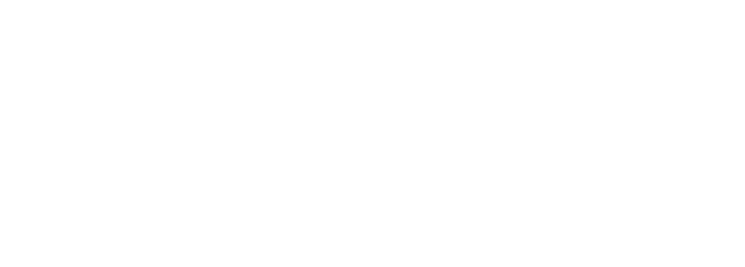 Web Elements_O1_Source White.png