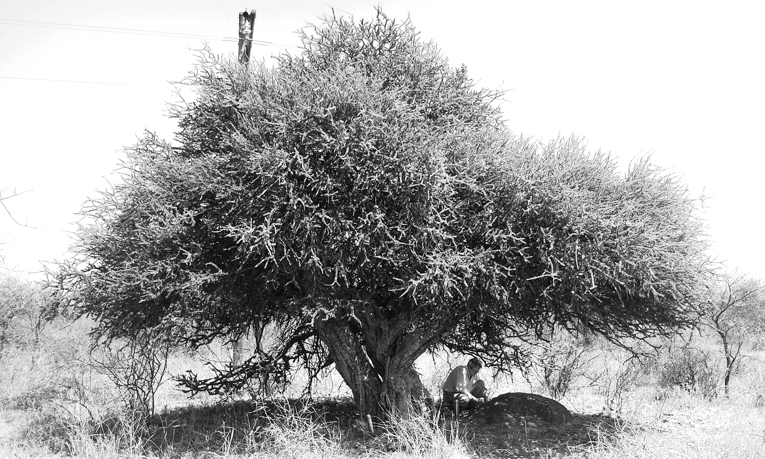 SNC00008 copy.jpg