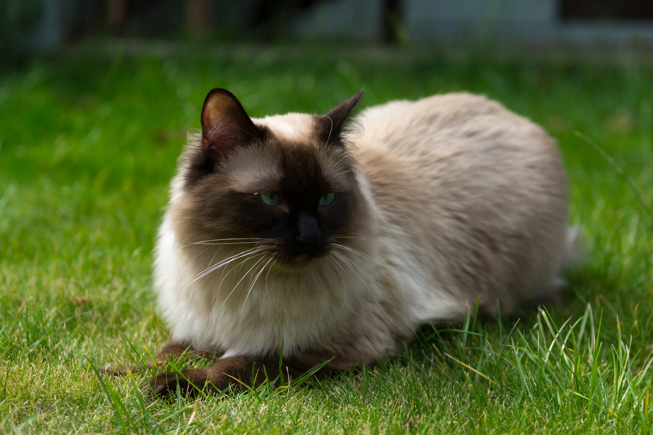 D71_8552.jpg